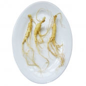 東北長白山人參 東北滋補 養顏 益壽  長白山鮮參 單支真空裝特產野山參 20支賣 免運費