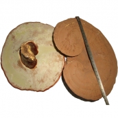 東北特產長白山靈芝 東北木靈芝 赤芝紅芝 有機靈芝500g 免運費 