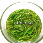 浙江安吉白茶 高山有機綠茶 500g 免運費