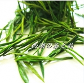 浙江安吉白茶 高山有機綠茶 500g 免運費